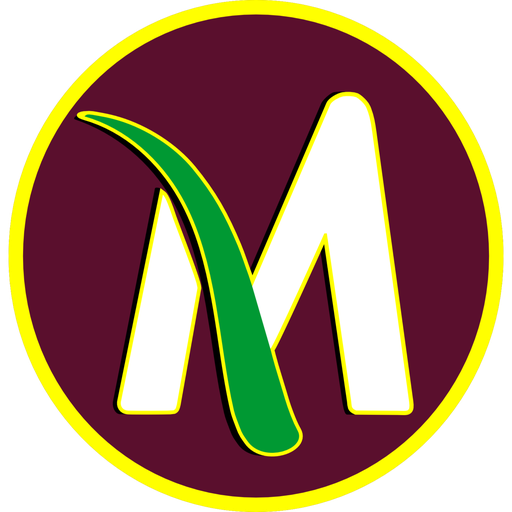 D'Moura Açaí